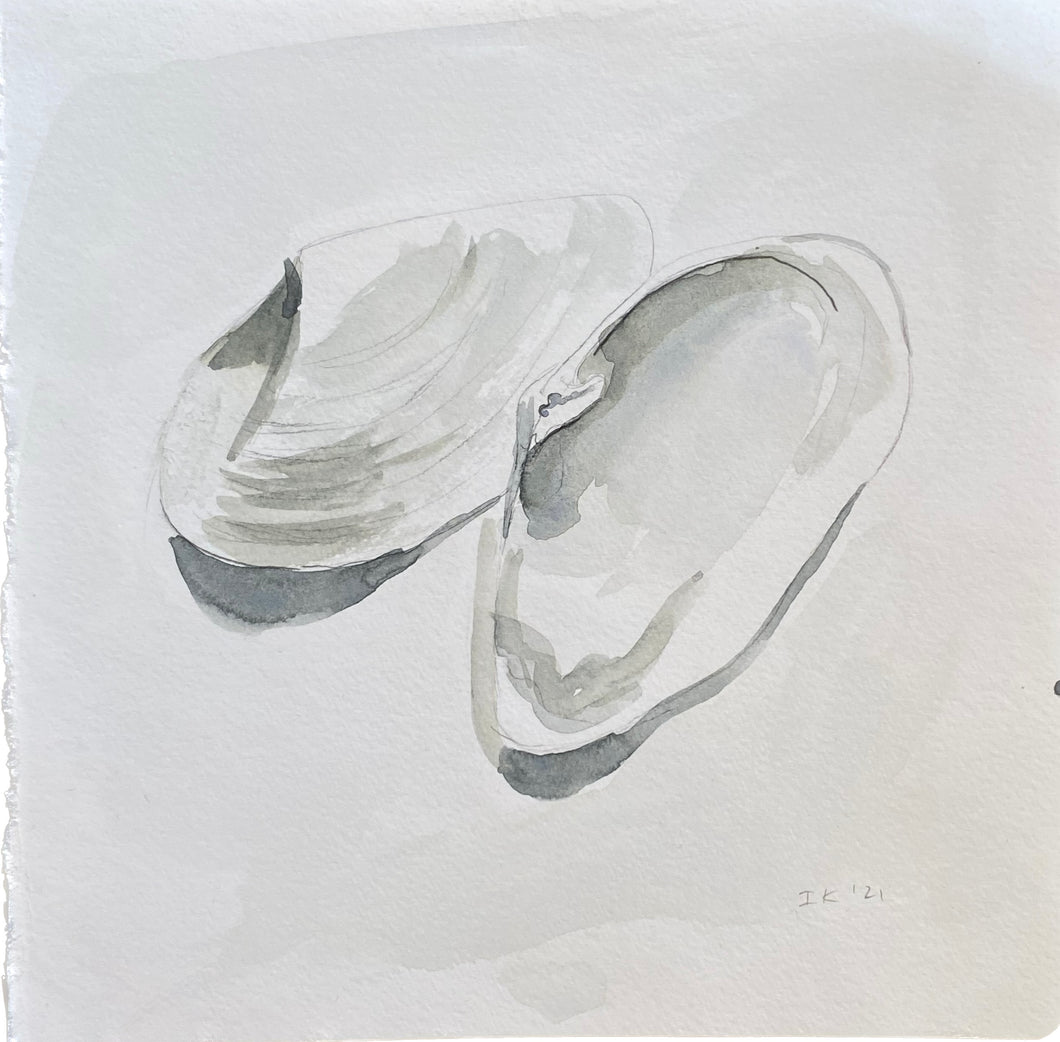 Watercolor Still Life Study Painting of Shells by Ingrid Kinnunen